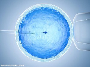 张医生