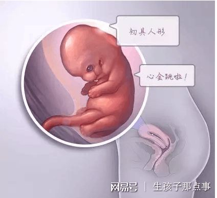 关于供卵代怀生男宝代生包成功